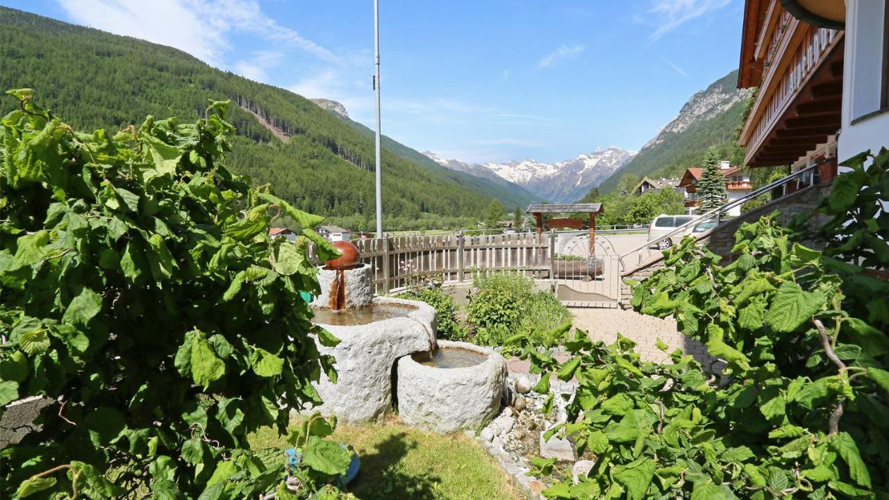 Pension Alpenhof B&B 科勒·伊萨尔科 外观 照片