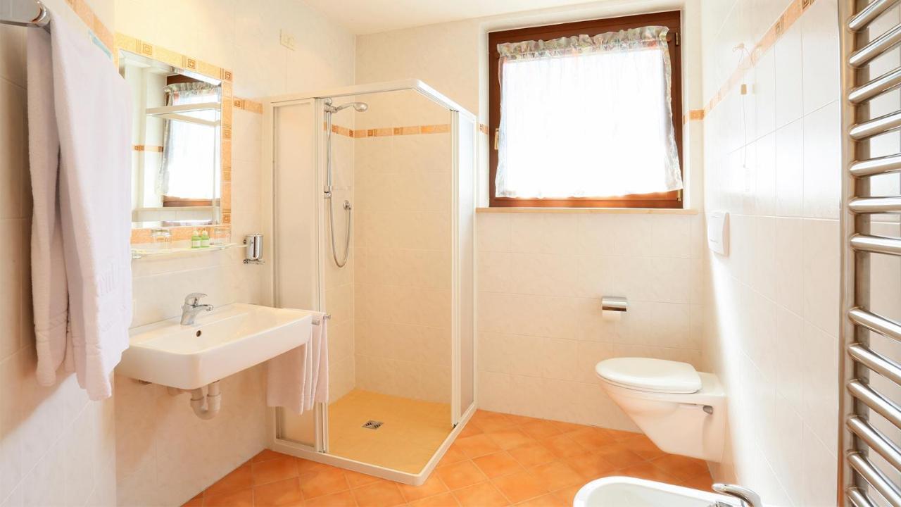 Pension Alpenhof B&B 科勒·伊萨尔科 外观 照片